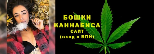 PSILOCYBIN Гусь-Хрустальный