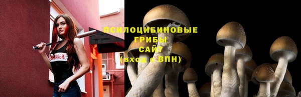 каннабис Гусев