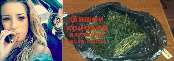 альфа пвп Гусиноозёрск