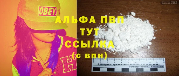 PSILOCYBIN Гусь-Хрустальный
