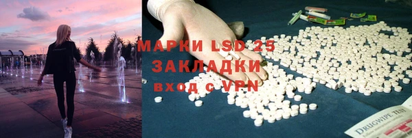 PSILOCYBIN Гусь-Хрустальный
